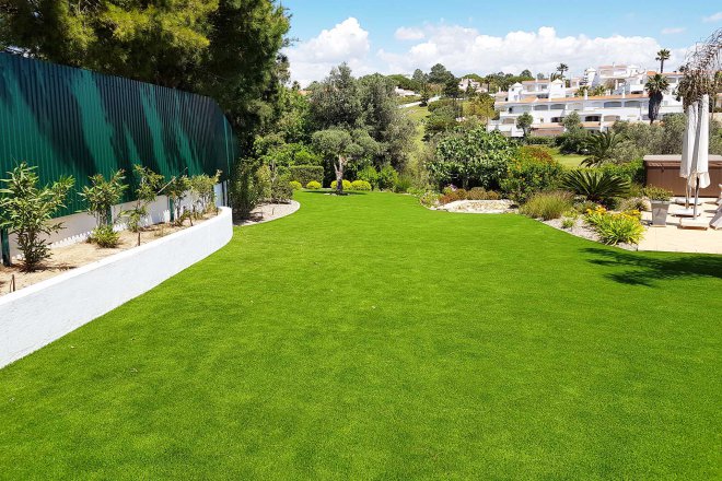 best-lawn